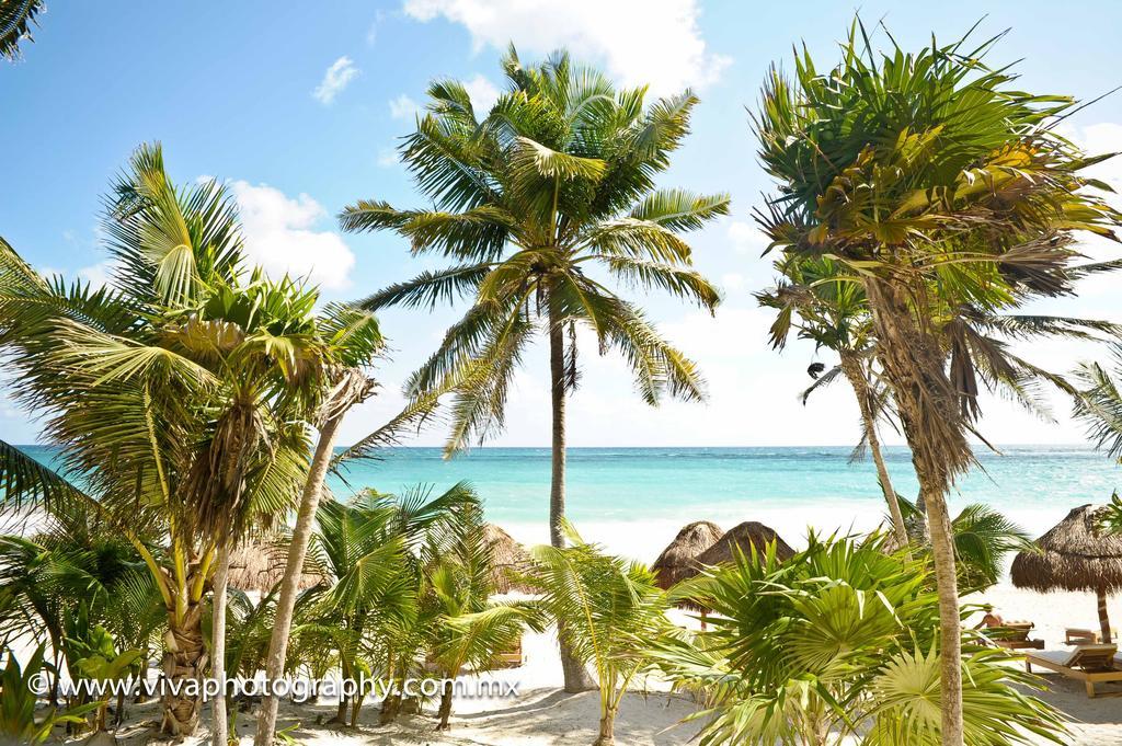 HOTEL ROSA DEL VIENTO | ⋆⋆⋆⋆ | TULUM, MEXICO | SEASON DEALS FROM $215